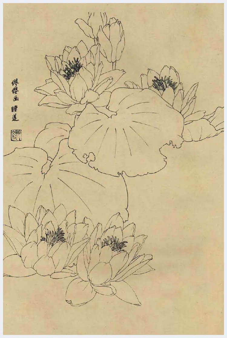 百花图谱大全【白描画】 | 书画资料