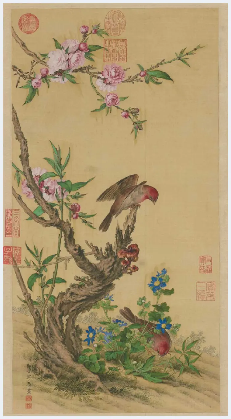 郎世宁花鸟图轴欣赏 | 著名国画鉴赏