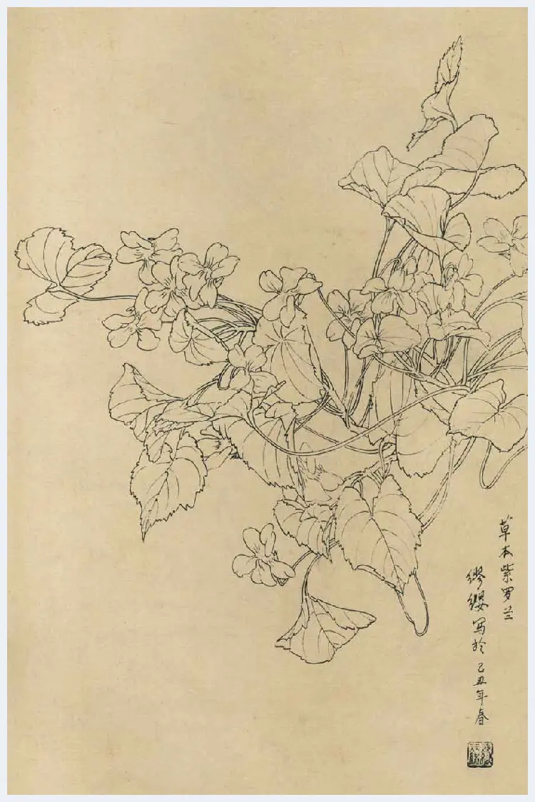 百花图谱大全【白描画】 | 书画资料