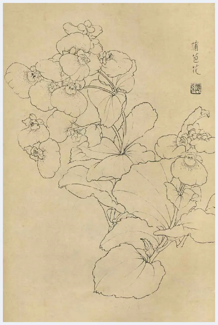 百花图谱大全【白描画】 | 书画资料