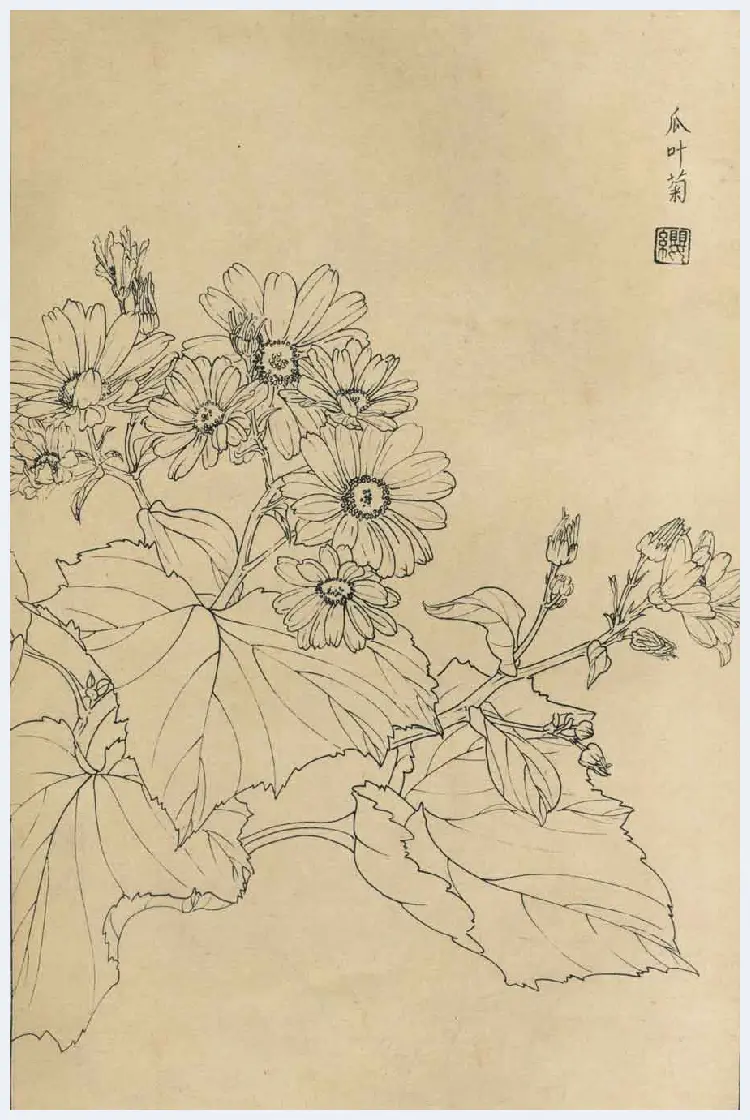 百花图谱大全【白描画】 | 书画资料