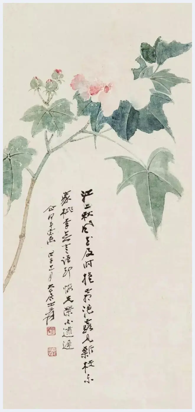 谢稚柳等名家笔下芙蓉花开 | 书画文摘