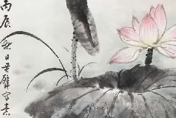 书画讲解 | 黄君璧荷花作品欣赏