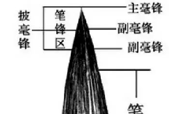 书法知识 | 初学者怎么样挑选毛笔